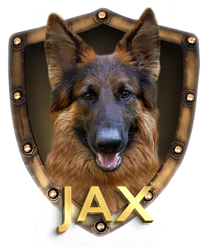German Sheperds,AKC,purebred,Champion,Pedigree,IPO