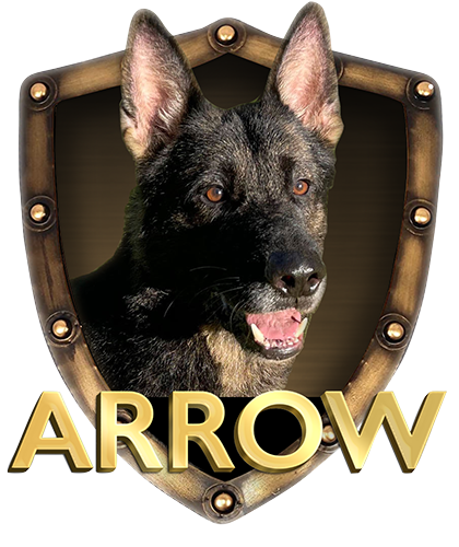 German Sheperds,AKC,purebred,Champion,Pedigree,IPO